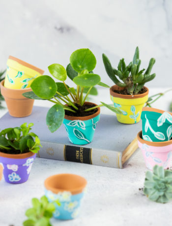Kleines Geschenk: Mini Pflanzen im DIY Blumentopf verschenken #DIYYearChallenge
